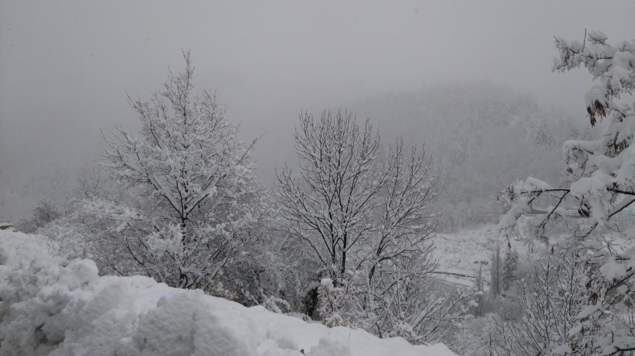 Apartment Montagne Cerdagne A Saillagouse